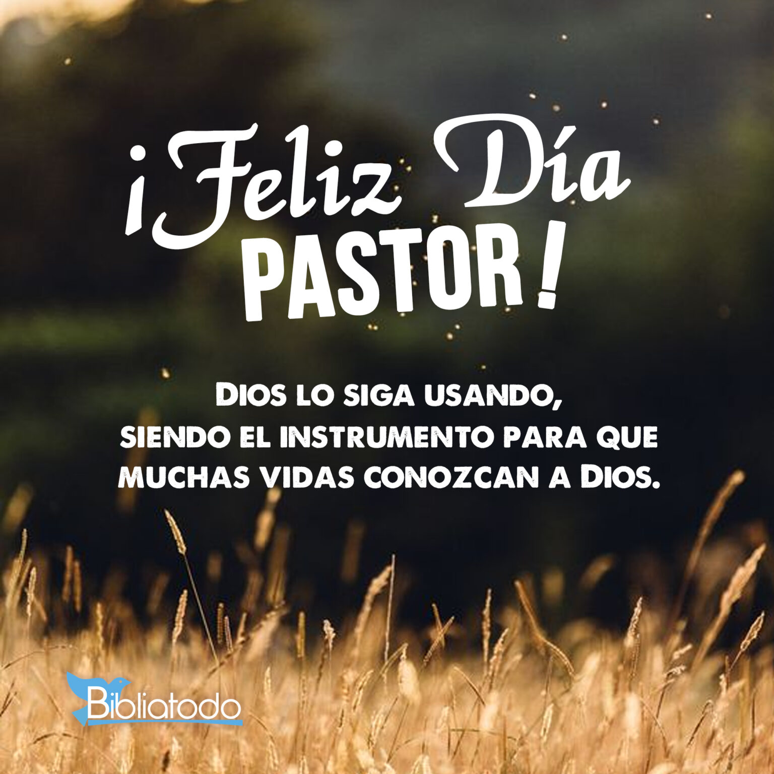 Palabras de aliento para un pastor evangélico 》 - La Luz de la Religión