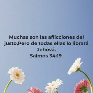 Estudio bíblico sobre las aflicciones del justo