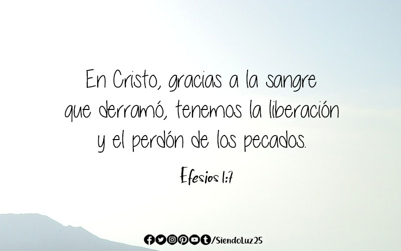 La vida esta en la sangre versículo 》 - La Luz de la Religión