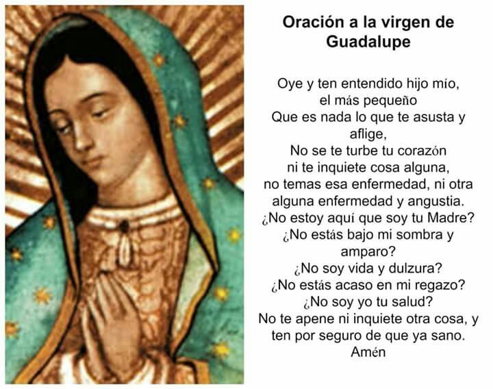 Oración A La Virgen De Guadalupe Para Pedir Protección La Luz De La