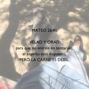 Orad para no caer en tentación