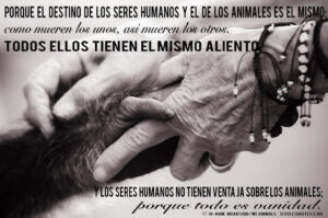 Qué dice la biblia de los animales