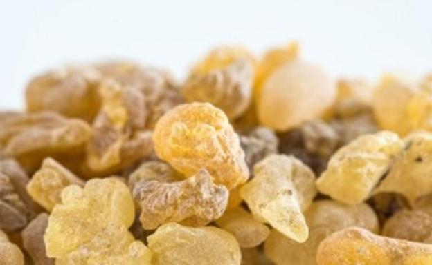 Qué es la mirra según la biblia 》 - La Luz de la Religión