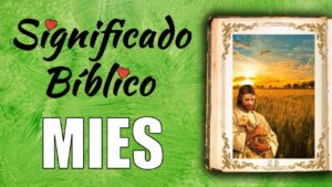 Qué significa la mies en la biblia