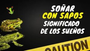 Qué significa soñar con sapos según la biblia