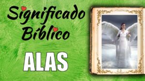 Significado de las alas en la biblia