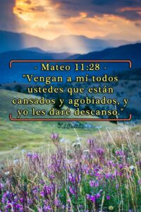 Vengan a mi todos los que están cansados